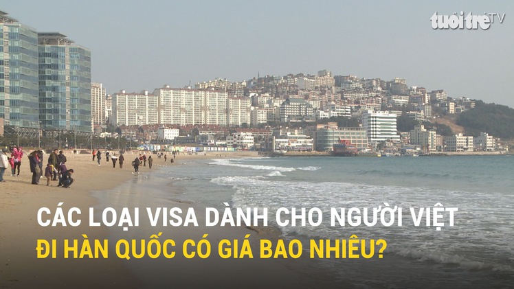 Các loại visa dành cho người Việt đi Hàn Quốc có giá bao nhiêu?