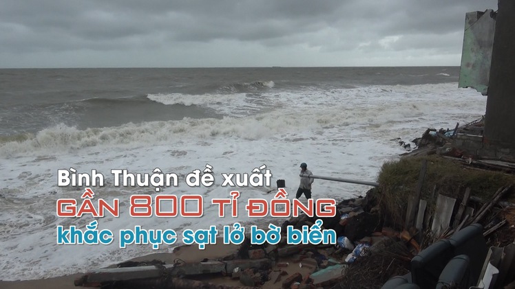 Bình Thuận xin gần 800 tỉ đồng khắc phục khẩn cấp sạt lở bờ biển
