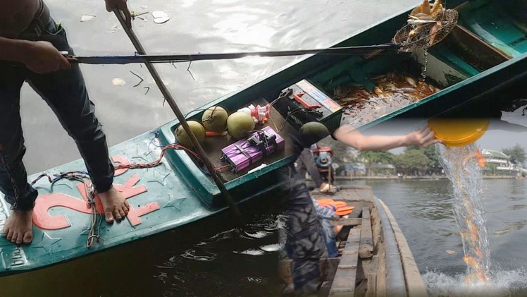 Tin nóng 24h ngày 28-1: Ông Táo về trời, cá chép ở lại 'chịu đời đắng cay'