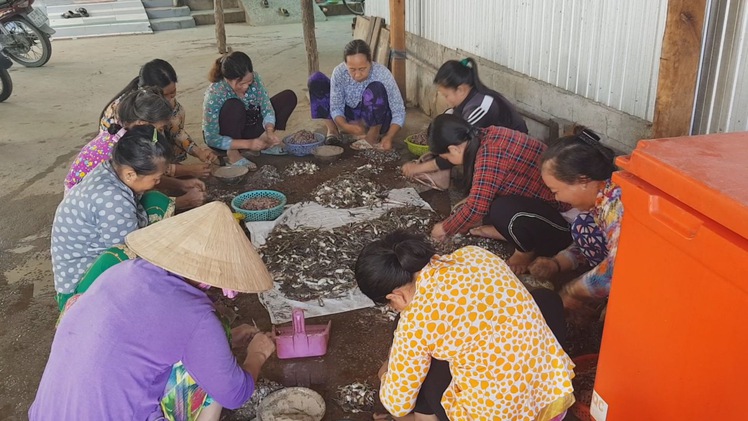 “Vũ nữ chân dài” cháy hàng”