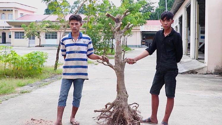 Tin nóng 24h: Cuối năm, coi chừng đạo tặc