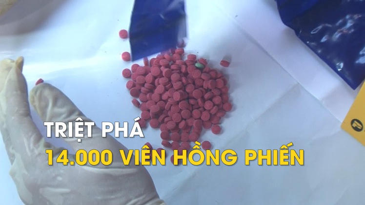 Phá đường dây buôn 14.000 viên hồng phiến từ Điện Biên về Thừa Thiên Huế