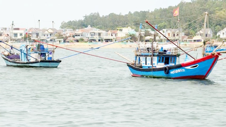 Tàu cá neo đậu tràn lan trong luồng vào cảng Sa Kỳ