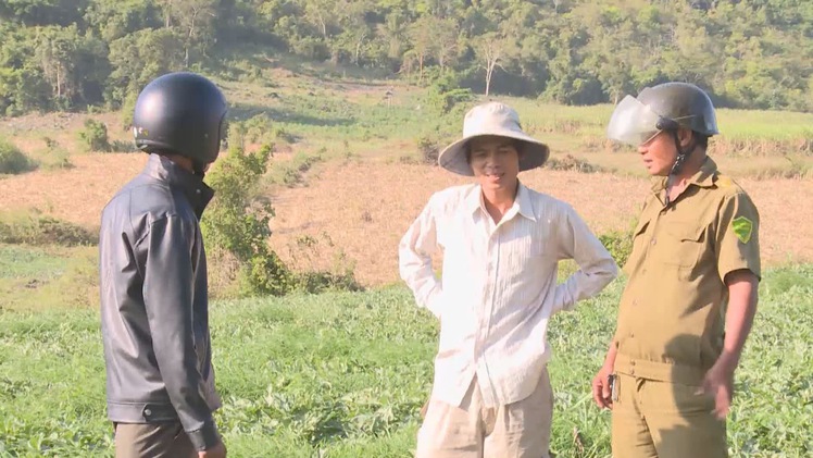 Đắng lòng với nạn “bóp cổ” nông dân trồng dưa hấu ở Phú Yên