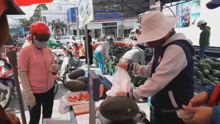 Thương lái Trung Quốc “bẻ kèo”, nông dân trồng dưa hấu ở Phú Yên kêu gọi giải cứu