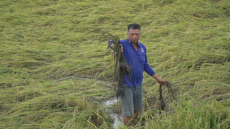 Nông dân lại kêu trời vì công trình bơm cát của doanh nghiệp