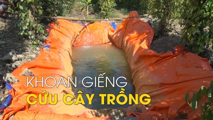 Nông dân khoan giếng, xây hồ dự trữ nước cứu cây trồng