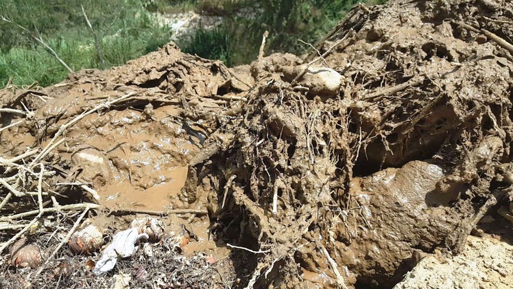 Hàng chục hộ dân khổ sở vì bùn thải tràn xuống suối Prenn