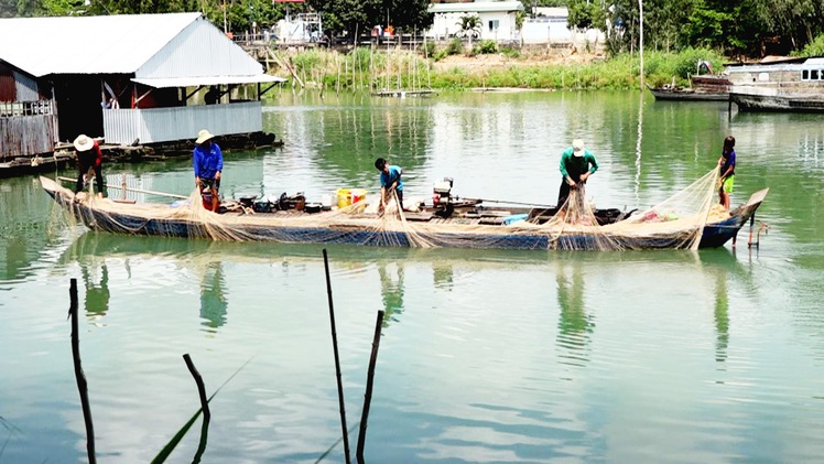 Lưới cá lăng mùa nước cạn