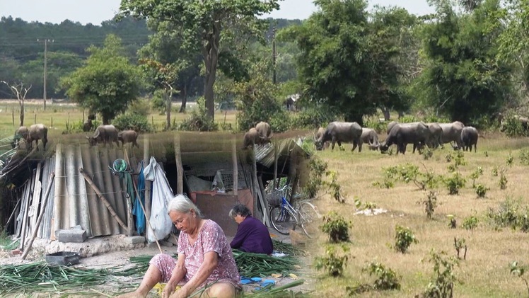 Tin nóng 24h: Người dân trong vùng dự án Sài Gòn Safari mong được giải quyết thỏa đáng