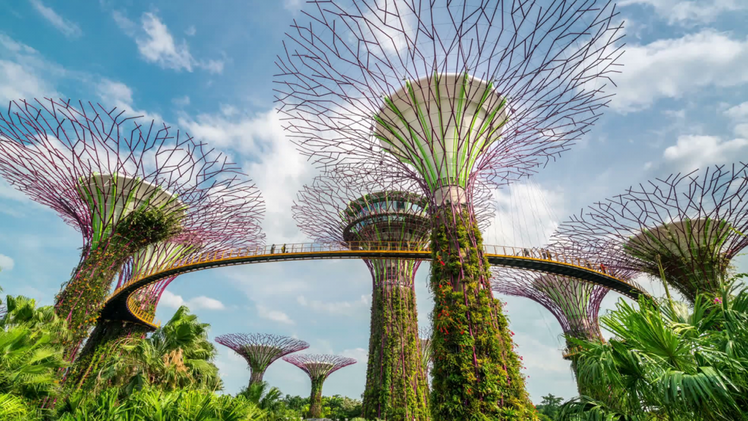 Gardens by the Bay: Khu rừng cơ học đặc biệt ở Singapore