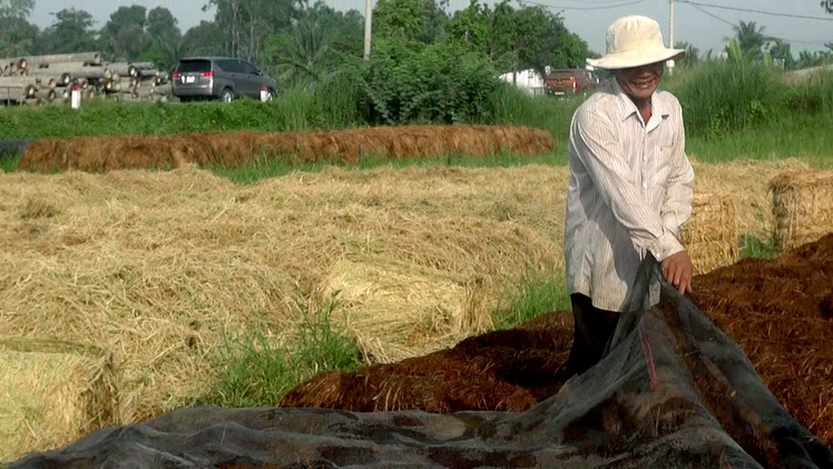 Nhộn nhịp mùa nấm rơm