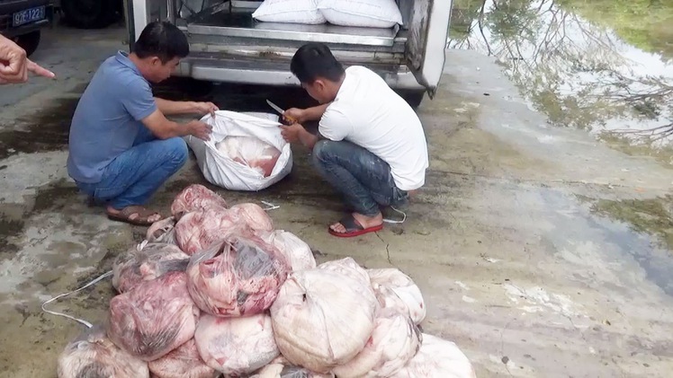 Bắt xe khách chở khoảng nửa tấn thịt bốc mùi hôi thối tại Quảng Nam