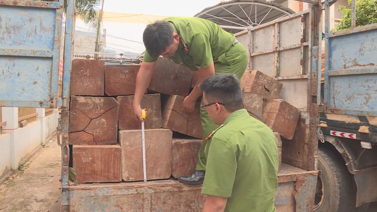 Truy tìm đối tượng chở gỗ lậu liều lĩnh tông xe vào xe công an