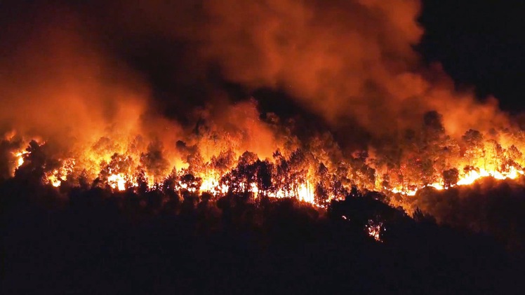 Cháy rừng thông ở Hà Tĩnh, hàng chục hộ dân phải di tản trong đêm