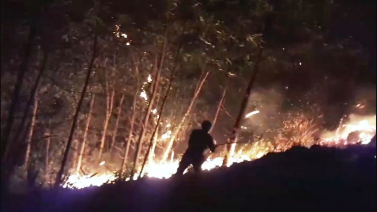 Cháy hơn 100 ha rừng keo, hàng trăm người trắng đêm dập lửa