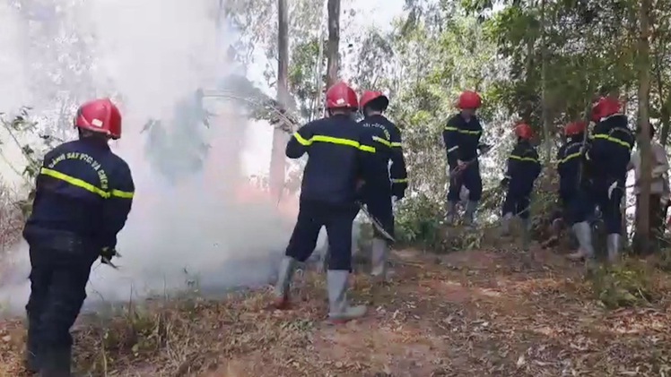 Đốt nhang ngày rằm gây cháy rừng tại Quảng Ngãi