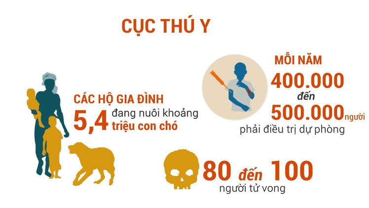 Chó thả rông tung hoành, người dân lãnh đủ