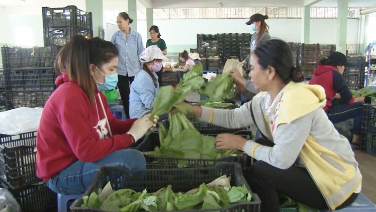 Lâm Đồng phấn đấu có 200 chuỗi liên kết sản xuất, tiêu thụ nông sản