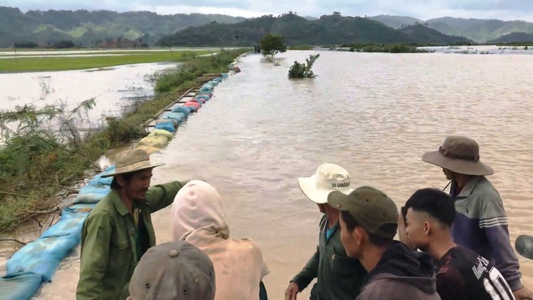 Đê Quảng Điền vỡ, đe dọa hàng ngàn hecta lúa sắp thu hoạch