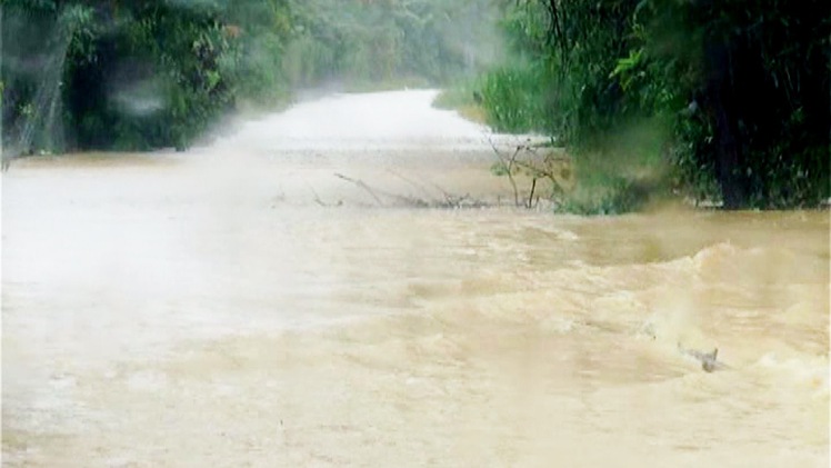 Mưa lớn kéo dài gây ngập trên diện rộng tại Lâm Đồng