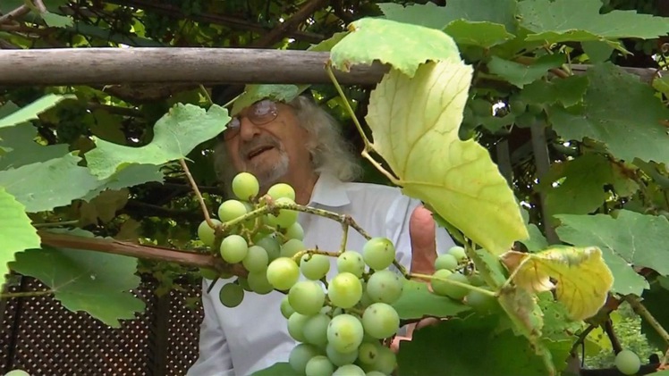 Cụ ông 91 tuổi làm rượu vang chỉ để tặng bạn bè