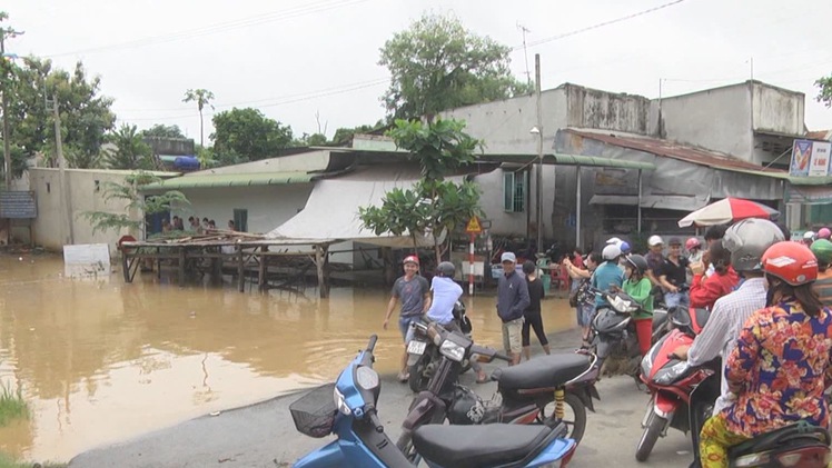 Làng nuôi cá bè trên sông Đồng Nai thiệt hại lớn do lũ lụt