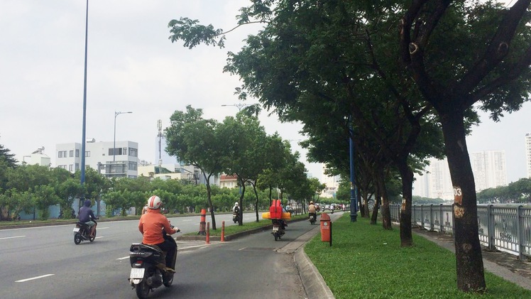 TP.HCM đề xuất được chủ động lựa chọn cây xanh đô thị