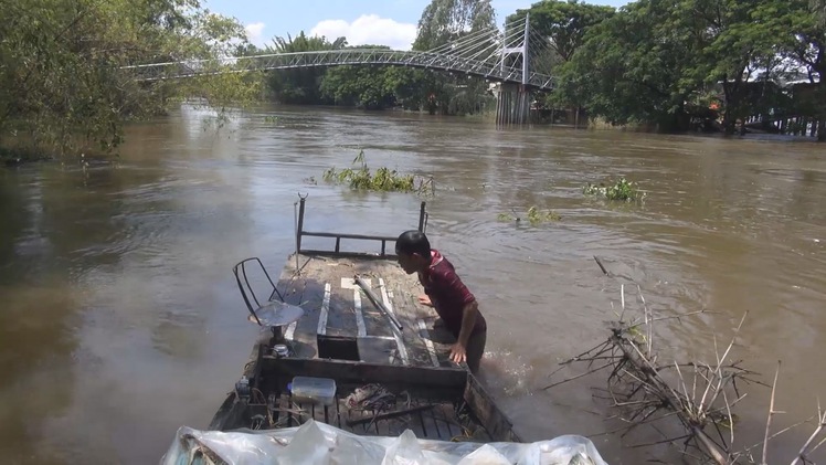 Sạt lở đất bờ Đông Kênh 7 xã, thiệt hại bè cá lóc hơn 2 tấn