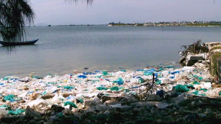 Vịnh Cam Ranh ngập tràn rác thải nhựa