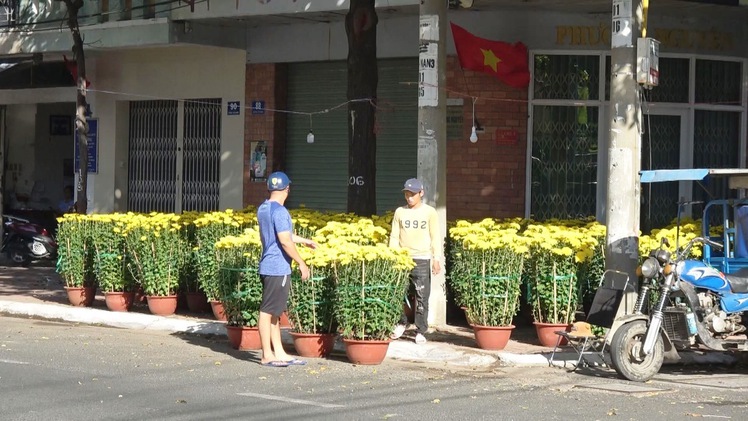 Người trồng hoa, buôn hoa ở Vũng Tàu lo ế ẩm