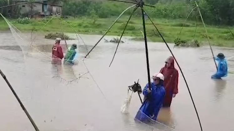 Video: Đánh bắt cá mùa lũ ở Lệ Thủy, Quảng Bình