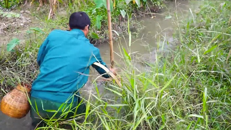 Trải nghiệm đánh dậm bắt cá ở đồng quê Tuyên Quang