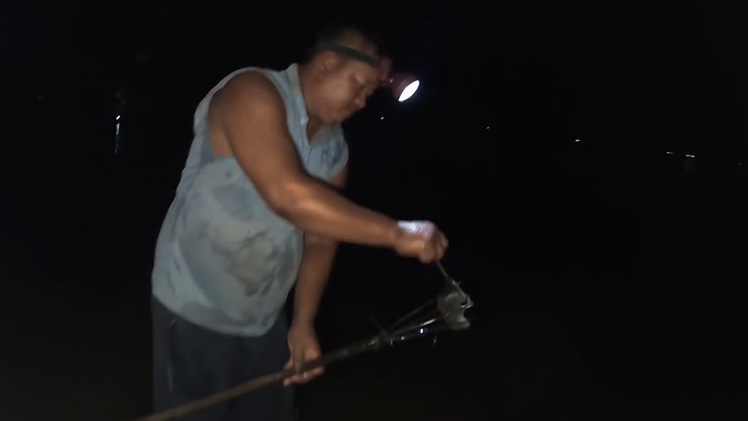 Video: Nửa đêm săn chuột đồng mùa nước nổi