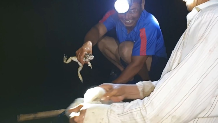 Video: Săn ếch đồng bằng dụng cụ tự chế
