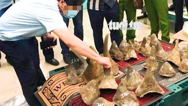Video: Thu giữ 93kg nghi sừng tê giác có nguồn gốc từ châu Phi gần sân bay Tân Sơn Nhất