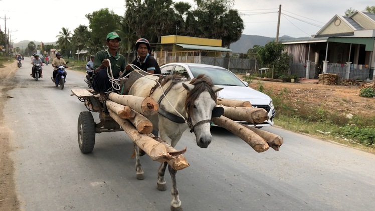 Xe ngựa, nét văn hoá đặc sắc của người Khmer ở Bảy Núi