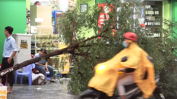 Video: Mưa lớn tại TP.HCM, nhiều cây xanh ngã đổ nằm la liệt
