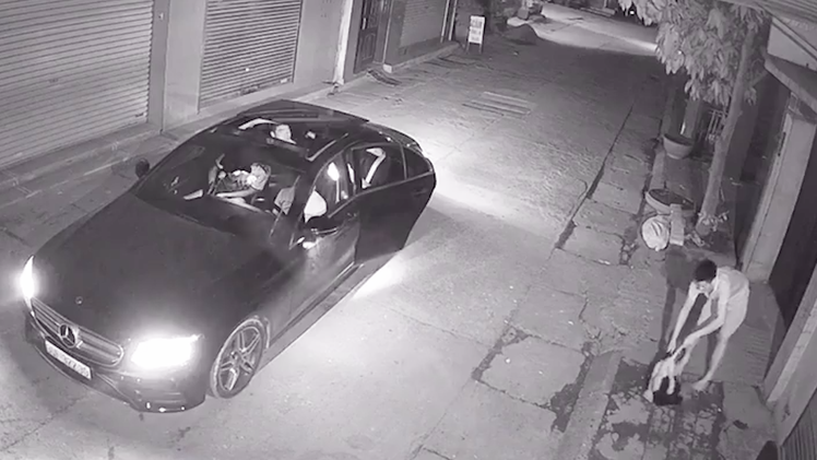 Video: Nhóm thanh niên đi xe Mercedes... bắt trộm mèo