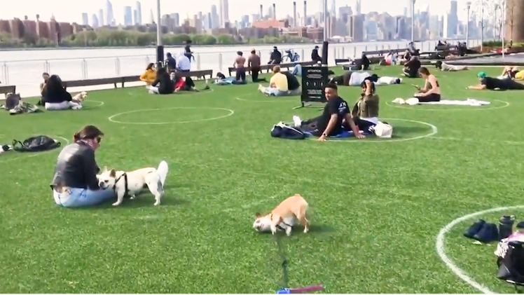 Video: Mỹ vẽ vòng tròn ở công viên, yêu cầu vui chơi có khoảng cách