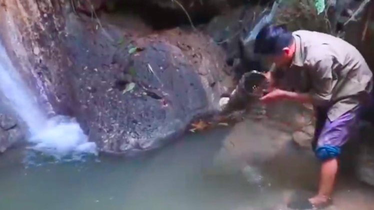 Video: Lội ngược dòng săn tôm suối ở Tuyên Quang