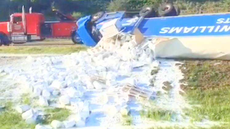 Video: Chim bay vào buồng lái khiến xe container lật nhào