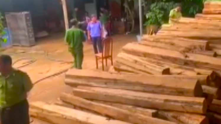 Video: Phát hiện vụ vận chuyển, tàng trữ gỗ trái phép quy mô lớn