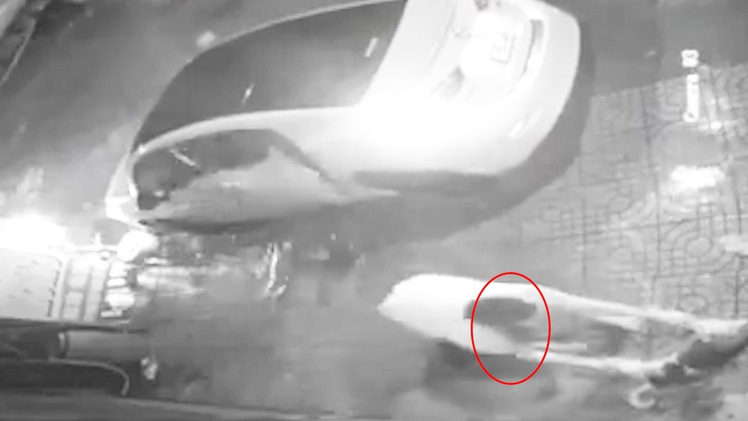 Video: Lái xe ôtô dùng súng điện ăn trộm chó