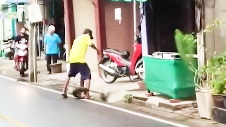 Video: Người đàn ông bị kỳ đà rừng tấn công trên đường phố