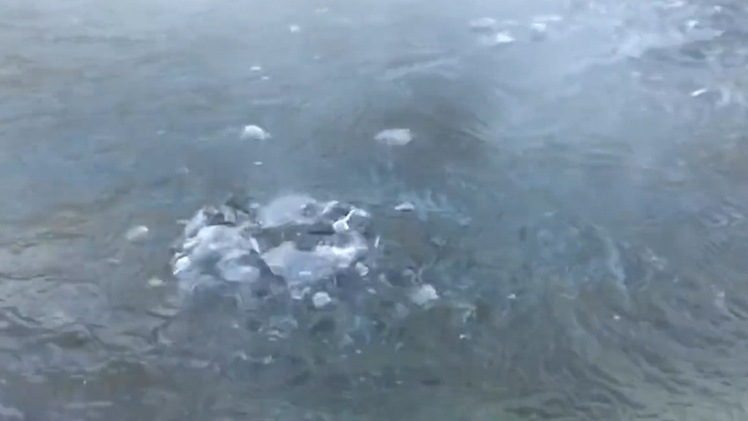 Video: Bí ẩn dòng sông 'sôi sùng sục' giết chết mọi sinh vật rơi xuống