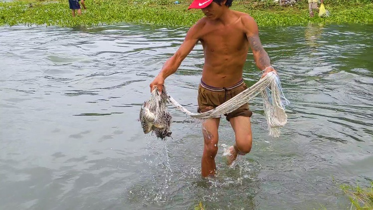 Video: Người dân Đà Nẵng đổ xô bắt cá sau bão số 5