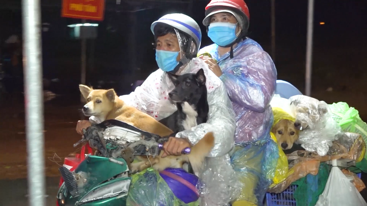 Video: Sau vụ tiêu hủy đàn chó, mèo ở Cà Mau, trưởng trạm y tế xã xin nghỉ việc vì 'cư dân' mạng xúc phạm?