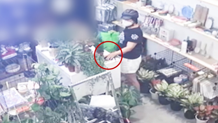Video: Người phụ nữ trộm iPhone tại cửa hàng bán cây cảnh ở Phú Nhuận