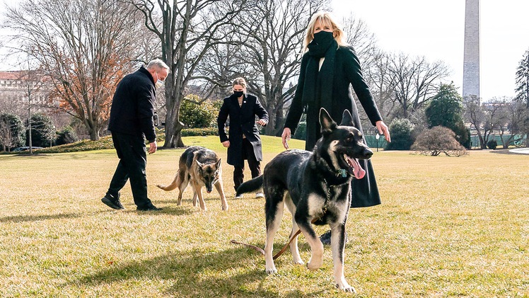 Video: Chó cưng của Tổng thống Biden bị 'trục xuất' khỏi Nhà Trắng